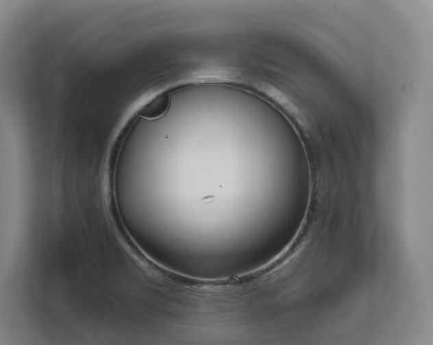 X0000113101469200909041216
