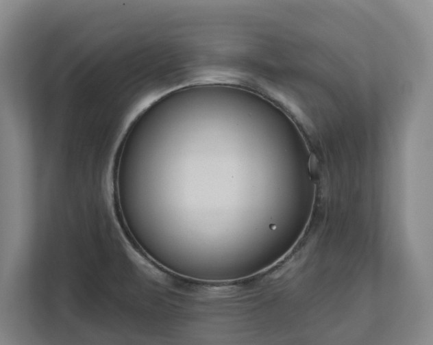 X0000113101471200909041216