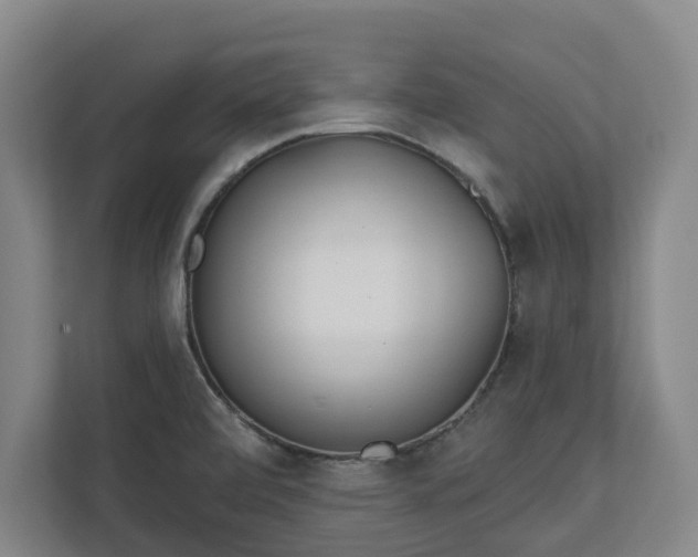X0000113101472200909041216