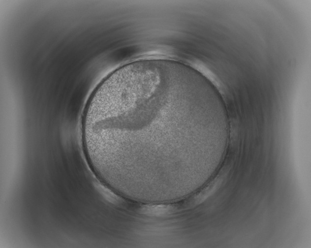 X0000113101474200909041216