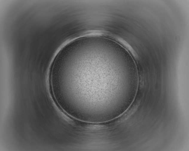X0000113101475200909041216