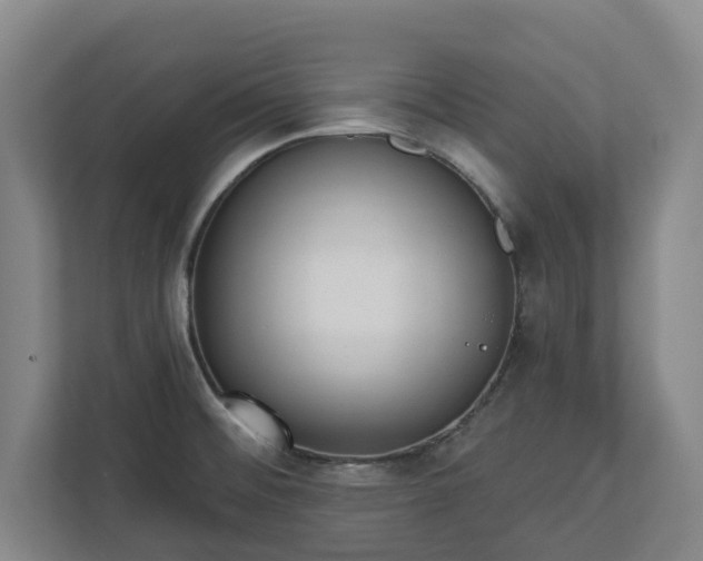 X0000113101476200909041216