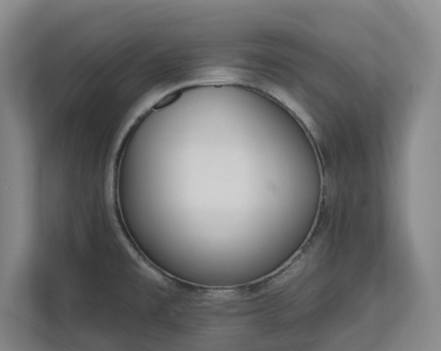 X0000113101477200909041216