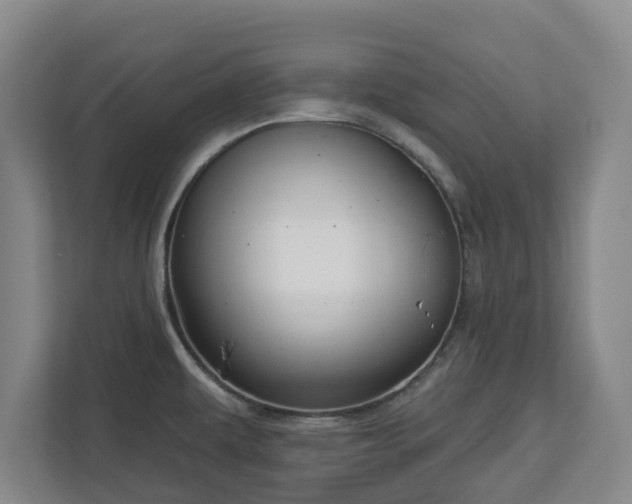 X0000113101479200909041216