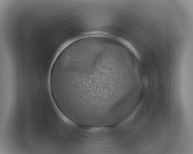 X0000113101482200909041216