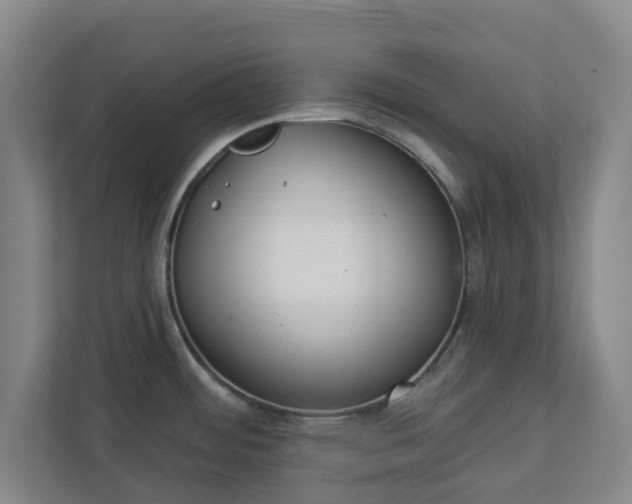 X0000113101484200909041216