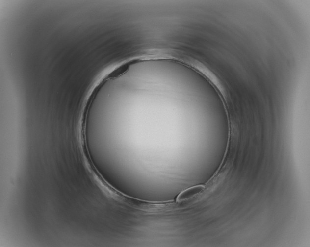 X0000113101485200909041216
