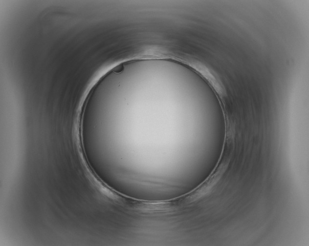 X0000113101486200909041216
