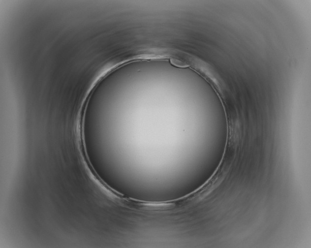 X0000113101487200909041216