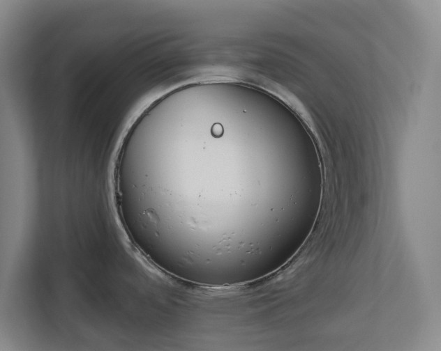 X0000113101488200909041216
