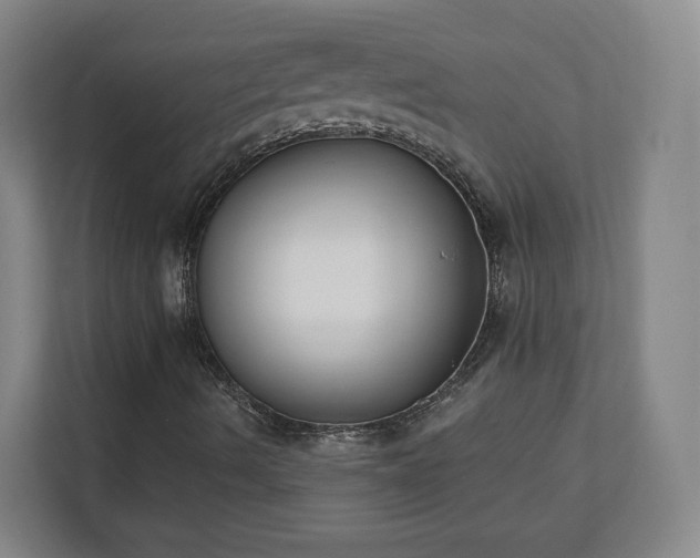 X0000113101490200909041215