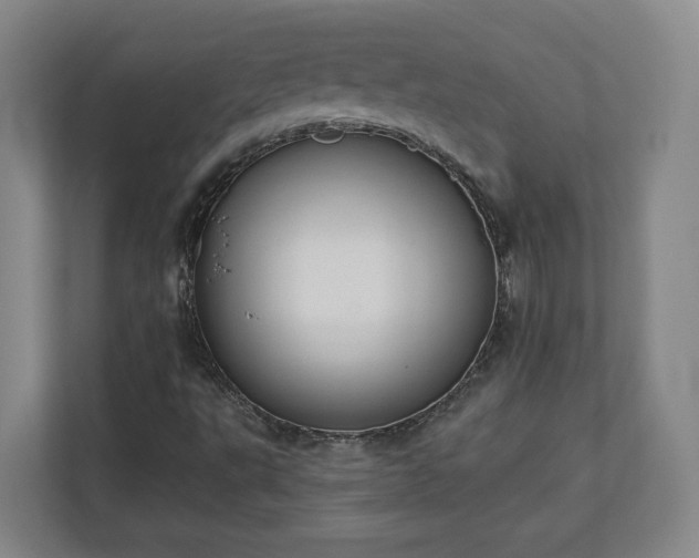 X0000113101495200909041215