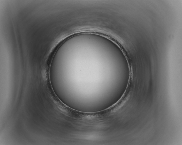 X0000113101501200909041215