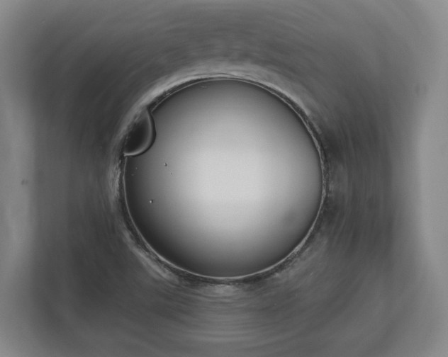 X0000113101507200909041216