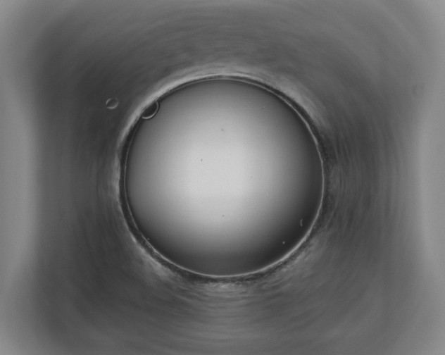 X0000113101508200909041216