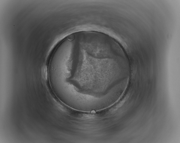 X0000113101509200909041216