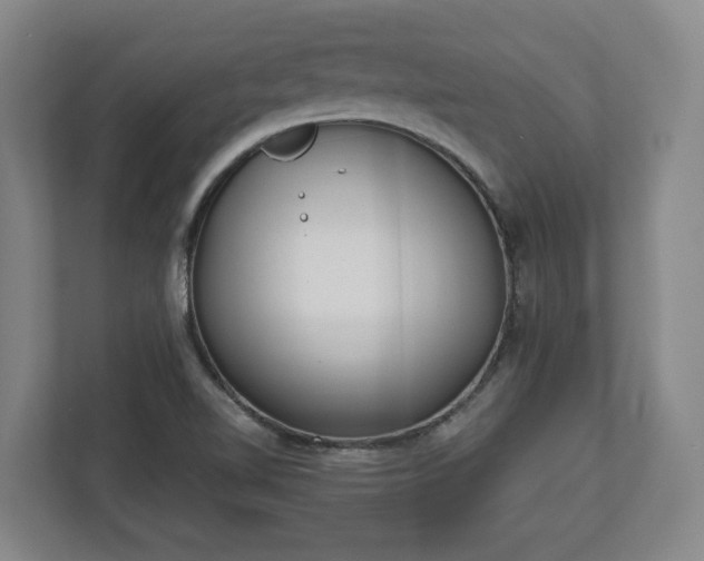 X0000113101510200909041216