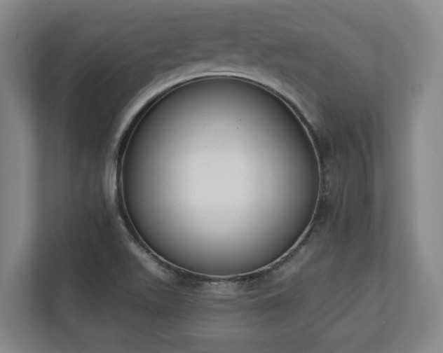 X0000113101511200909041216