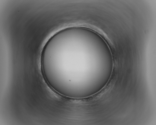 X0000113101512200909041216