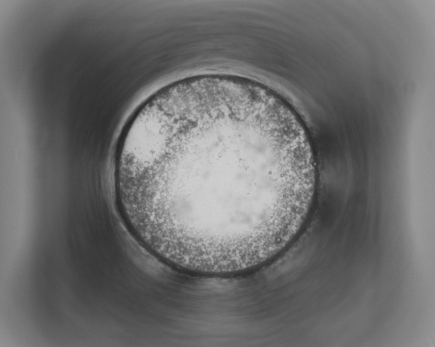 X0000113101514200909041216