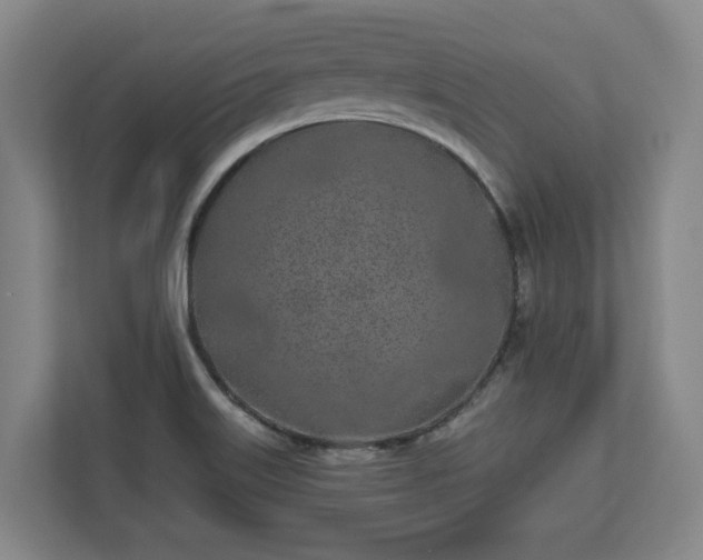 X0000113101515200909041216