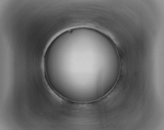 X0000113101516200909041216