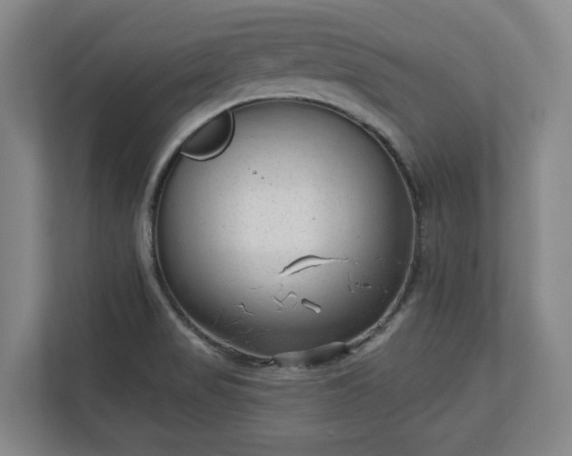 X0000113101517200909041216