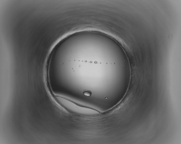 X0000113101518200909041216