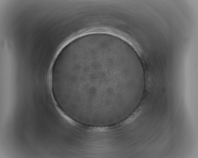 X0000113101519200909041216