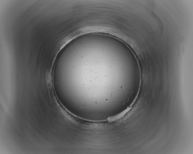 X0000113101521200909041216