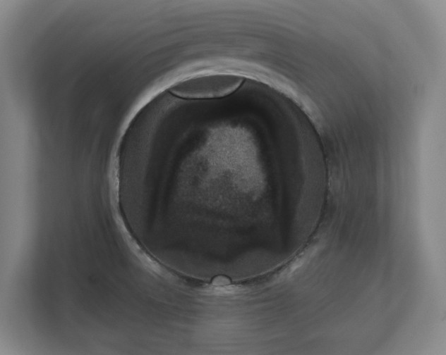 X0000113101522200909041216