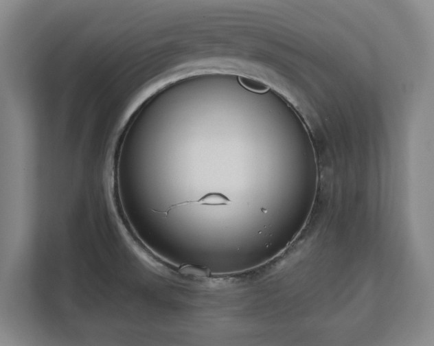 X0000113101523200909041216