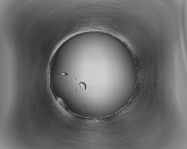 X0000113101524200909041216