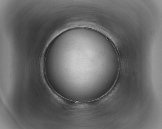 X0000113101525200909041216