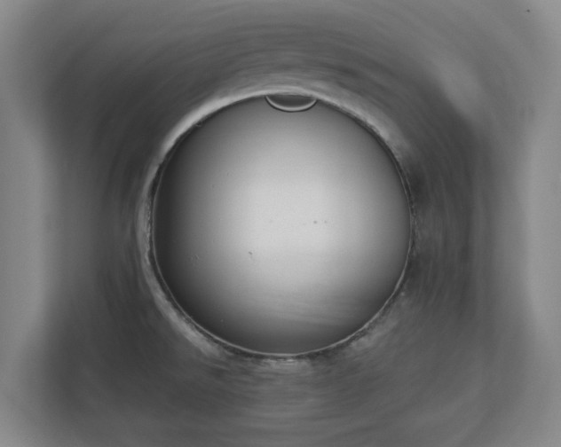 X0000113101526200909041216
