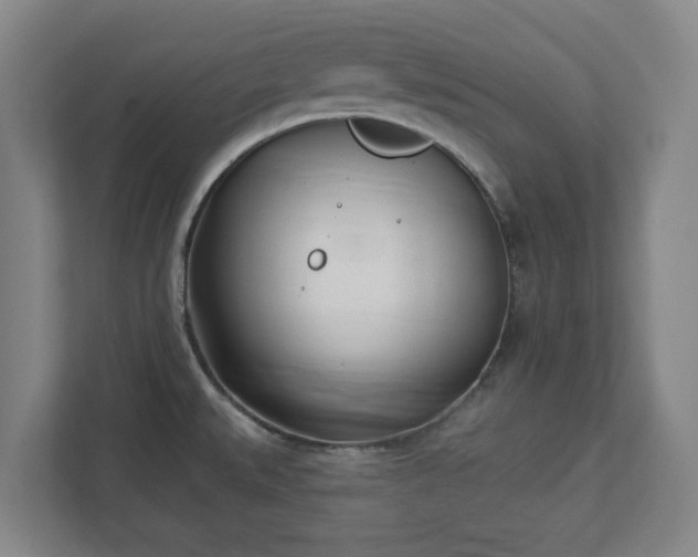 X0000113101527200909041216
