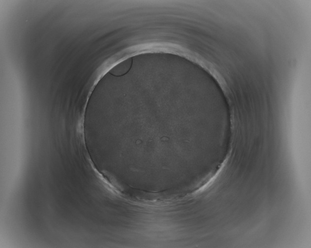 X0000113101529200909041216