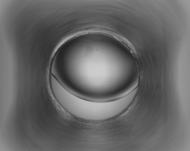 X0000113101530200909041216