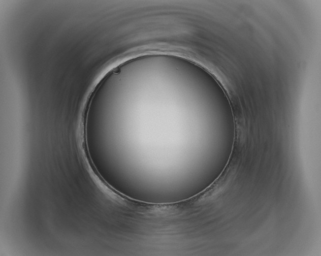 X0000113101531200909041216