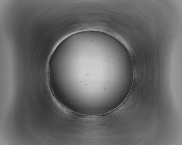 X0000113101532200909041216