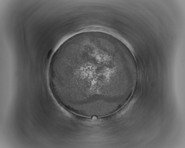 X0000113101533200909041216