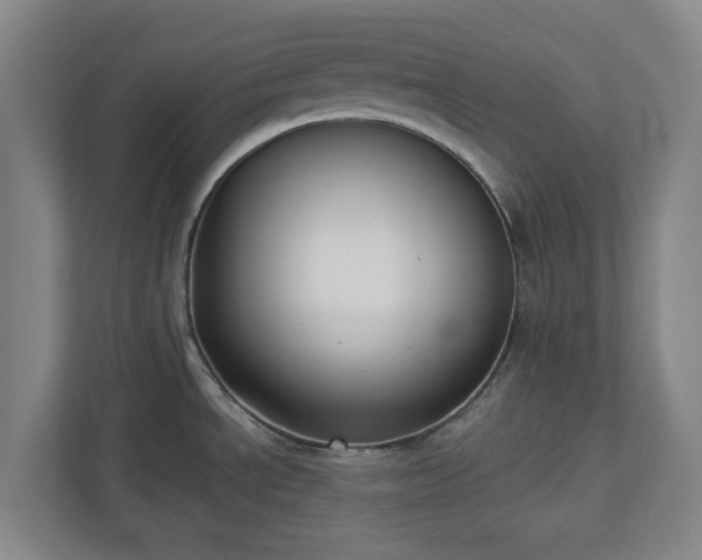 X0000113101534200909041216