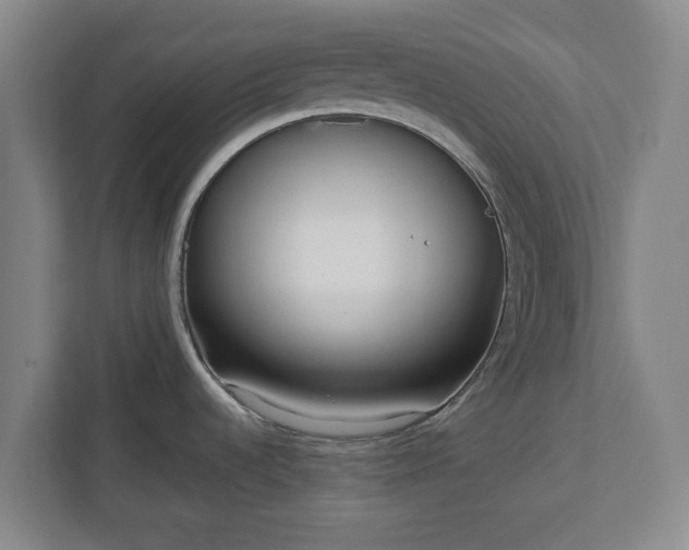 X0000113101536200909041216