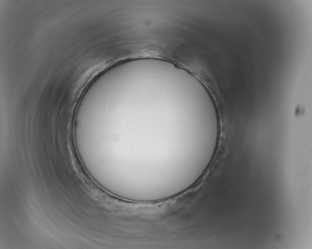 X0000113100001200909111103