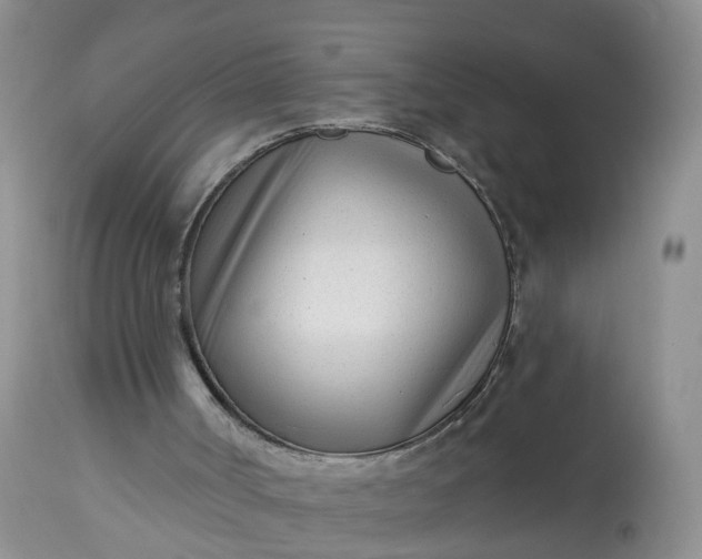 X0000113100002200909111103