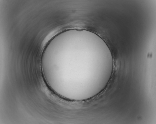 X0000113100004200909111103