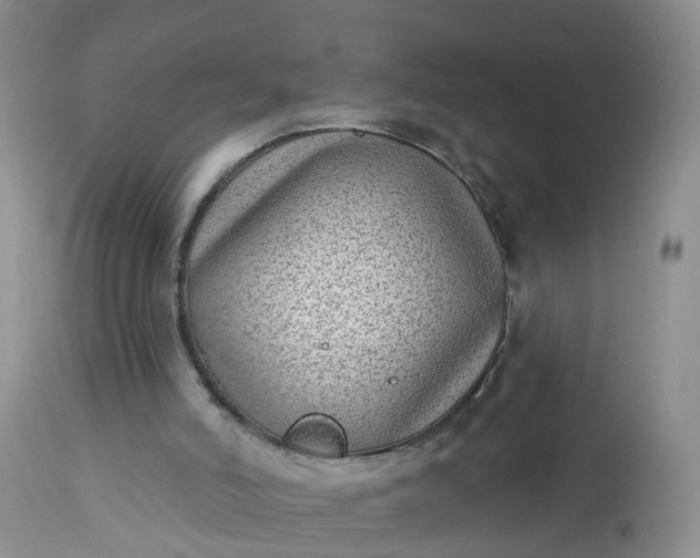 X0000113100006200909111103
