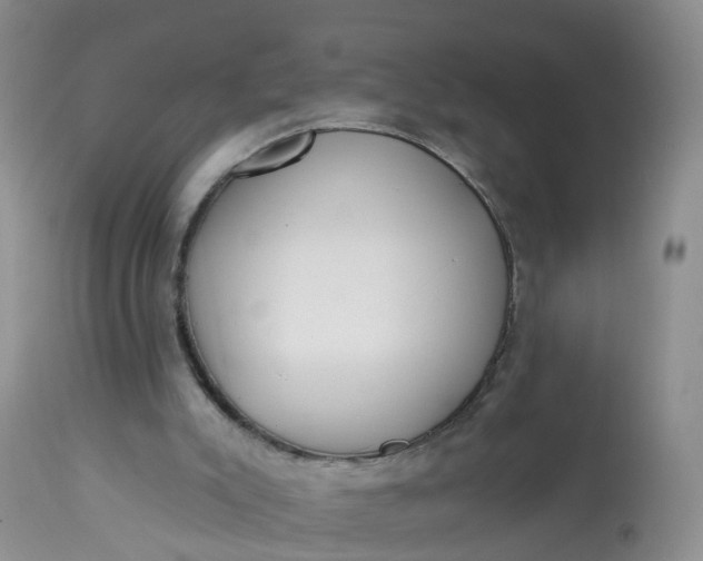 X0000113100007200909111103
