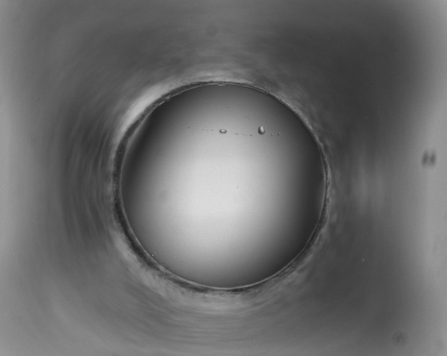 X0000113100008200909111103