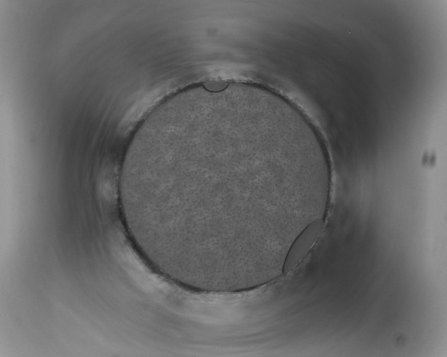 X0000113100009200909111103